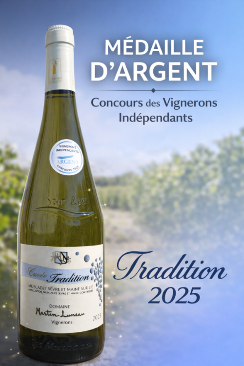 TRADITION-2025